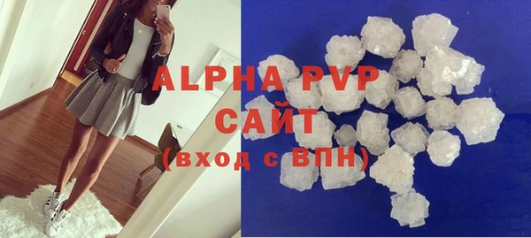 хмурый Белокуриха