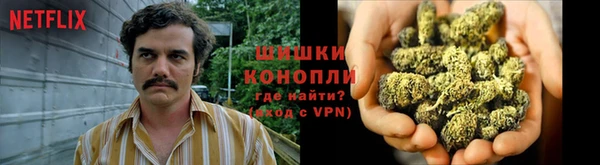 хмурый Белокуриха