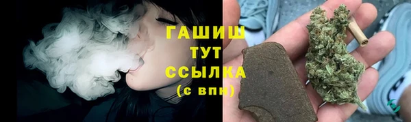 хмурый Белокуриха