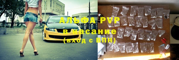 хмурый Белокуриха