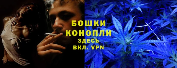 хмурый Белокуриха