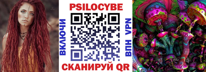 мега зеркало  Славгород  Галлюциногенные грибы Cubensis 