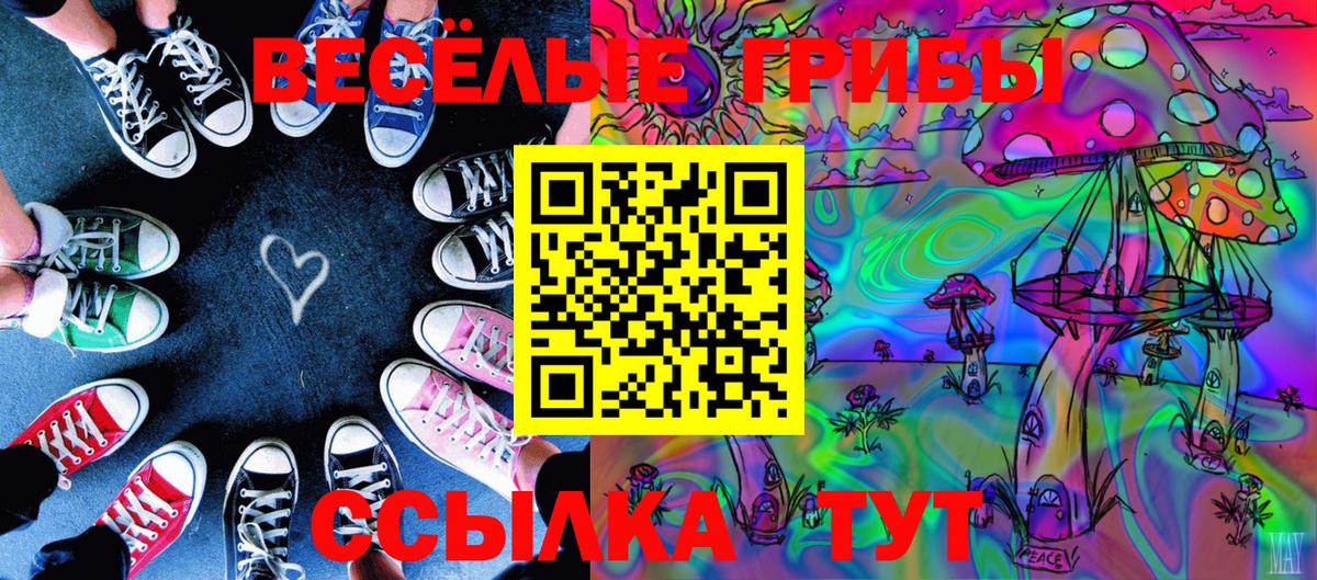 LSD-25 Славгород