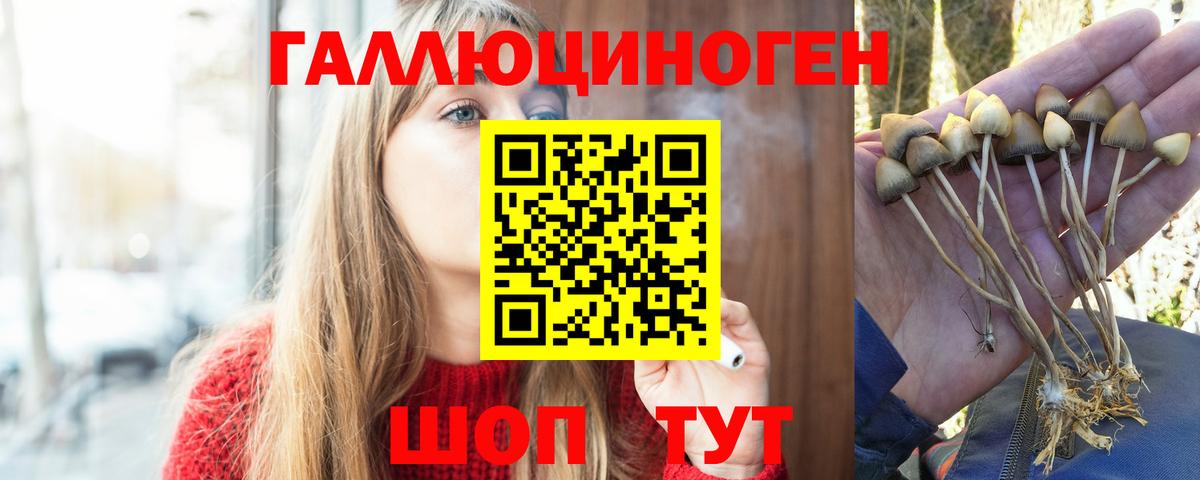 Псилоцибиновые грибы Psilocybine cubensis  Псилоцибиновые грибы Cubensis  Вход с VPN  Славгород 